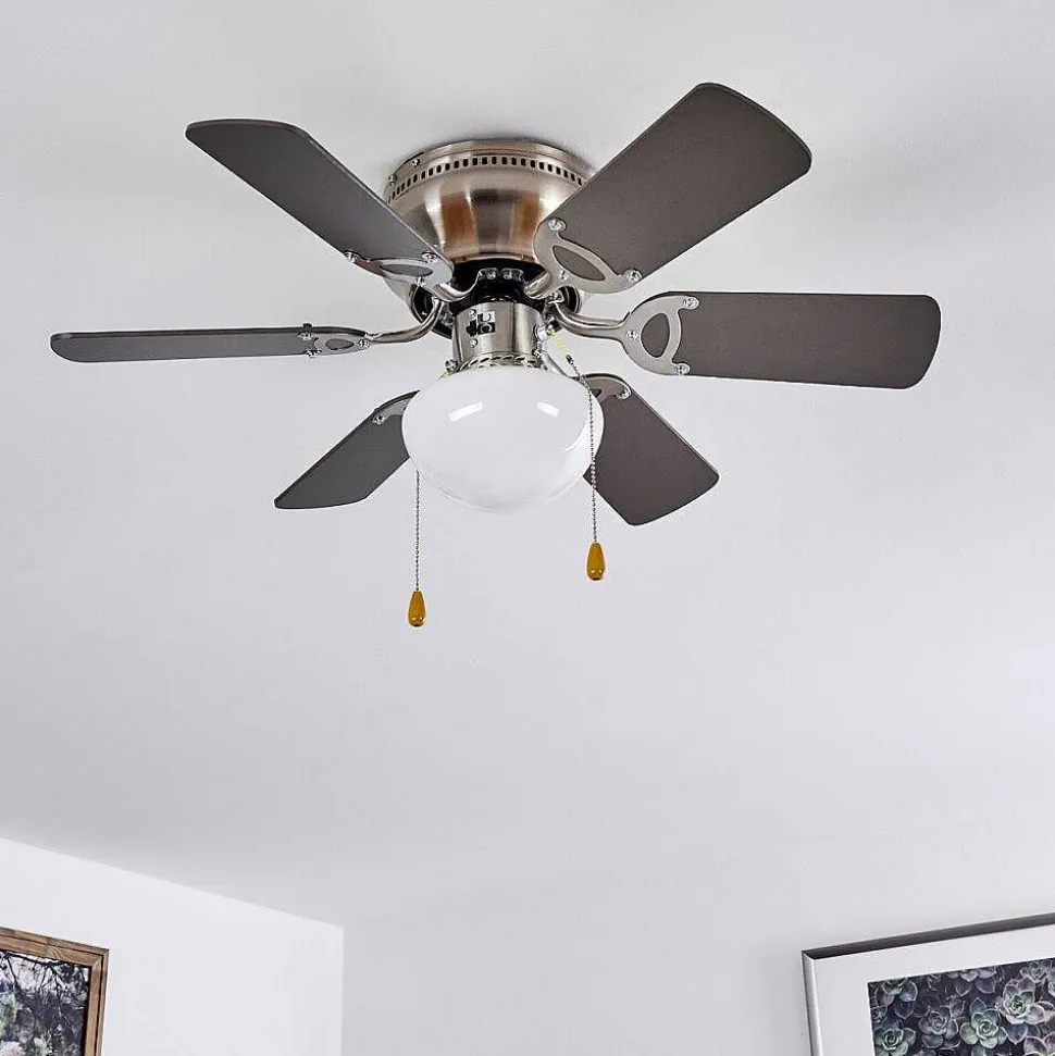 Ventilateur De Plafond Trillo Nickel Mat, 1 Lumiere