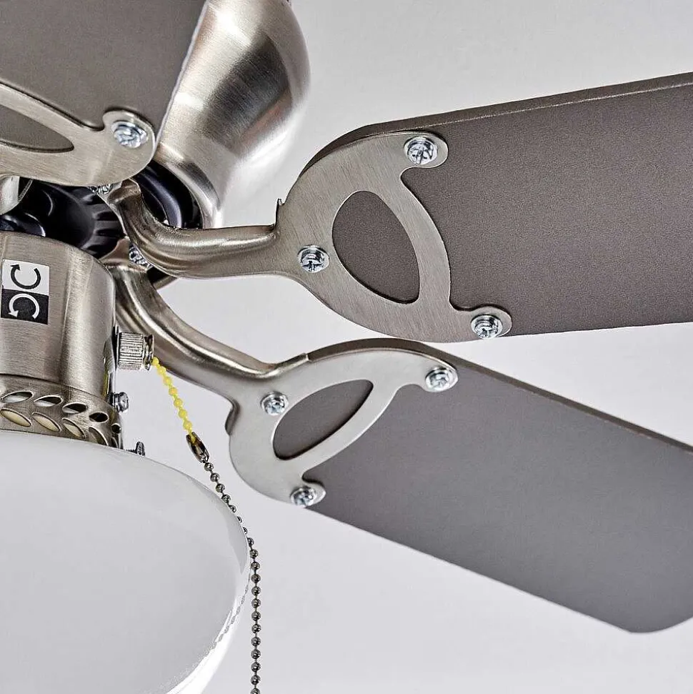 Ventilateur De Plafond Trillo Nickel Mat, 1 Lumiere