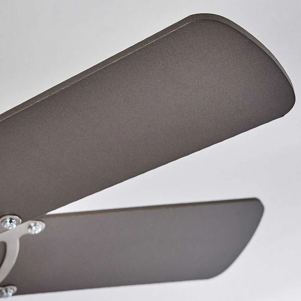 Ventilateur De Plafond Trillo Nickel Mat, 1 Lumiere