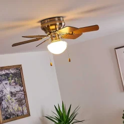 Ventilateur De Plafond Trillo Nickel Mat, 1 Lumiere