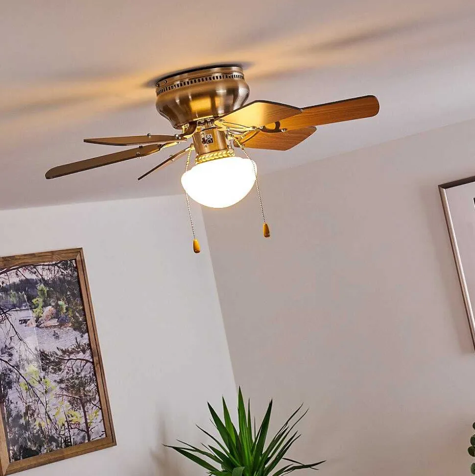 Ventilateur De Plafond Trillo Nickel Mat, 1 Lumiere