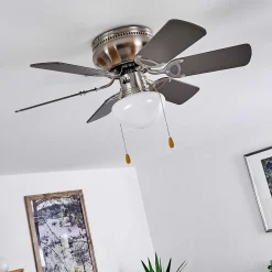 Ventilateur De Plafond Trillo Nickel Mat, 1 Lumiere