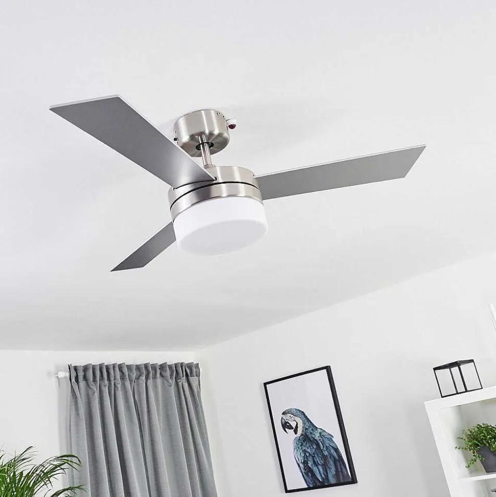 Ventilateur De Plafond Vevey Bois Clair, Nickel Mat, Argente, 2 Lumieres, Telecommandes