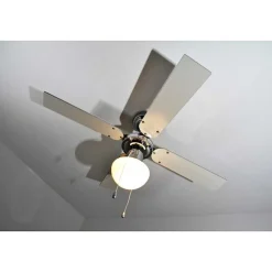 Ventilateur Globo Champion Chrome, Acier Inoxydable, Blanc, 1 Lumiere