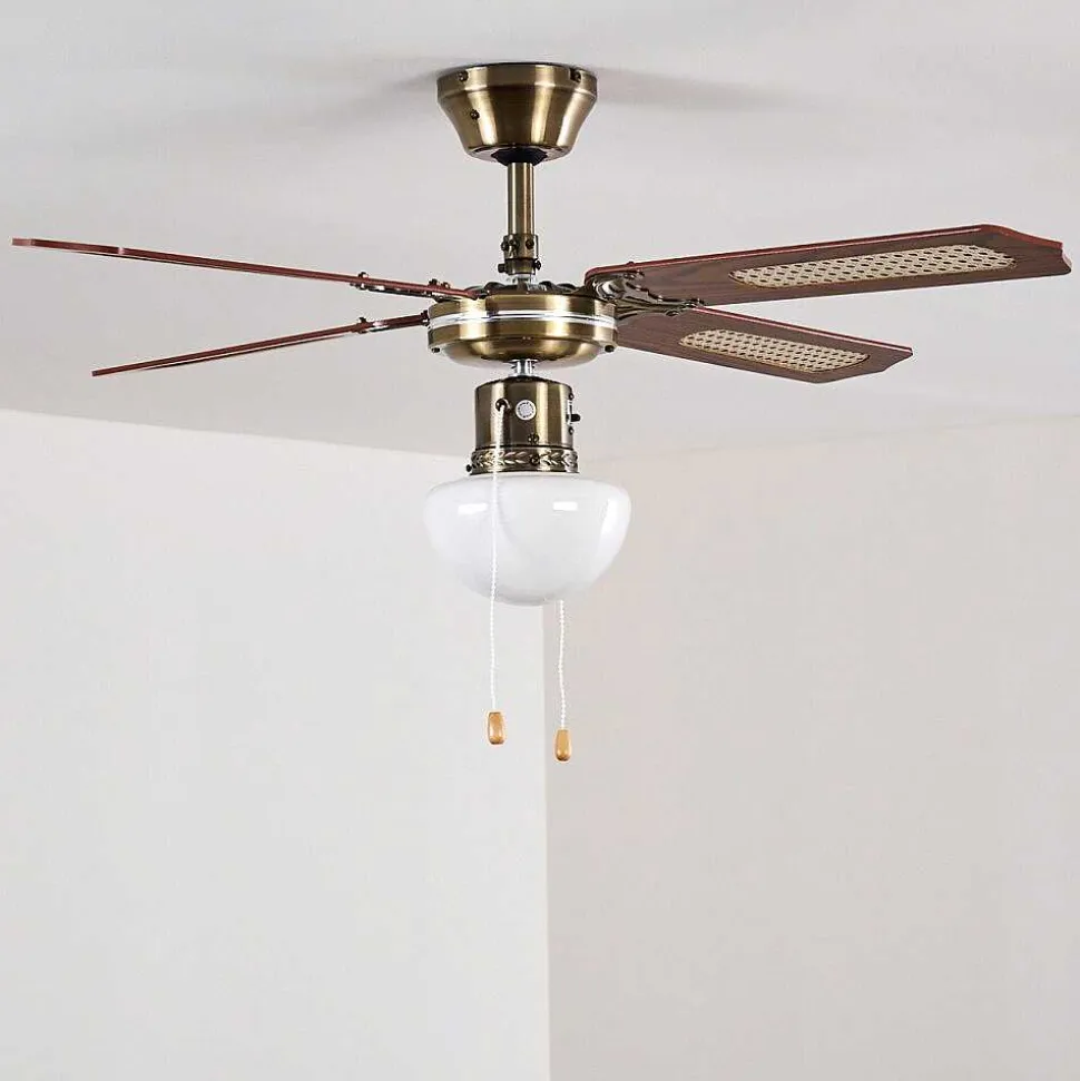 Ventilateurs De Plafond Morea Vieux Laiton, Bois Fonce, 1 Lumiere